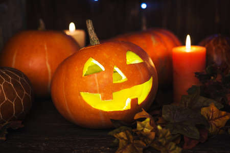 Halloween pumpkin head jack lanternの写真素材