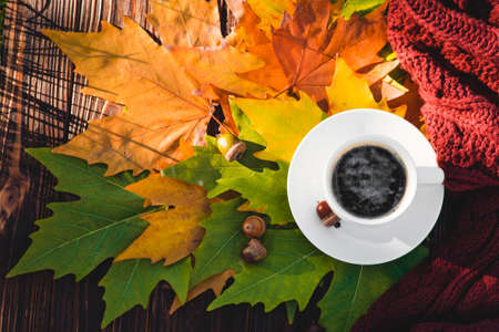 Cup of coffee in autumn leavesの写真素材