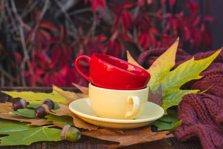 Two cups in autumn leavesの写真素材