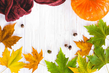 Autumn leaves on white backgroundの写真素材