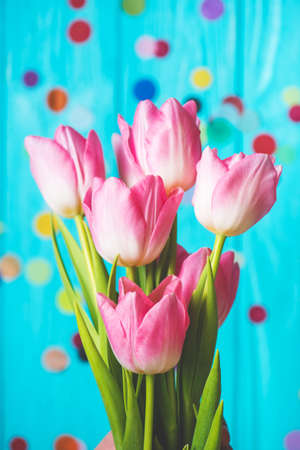 Wooden blue background and pink tulips. Holiday concept, March 8, Mother's Day.
