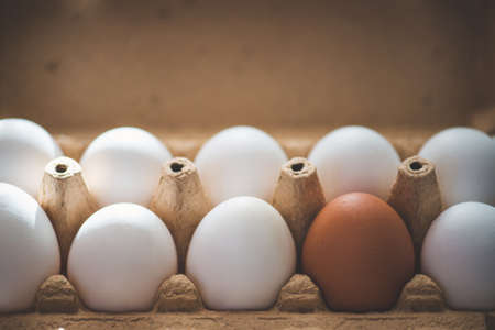 Close-up view of raw chicken eggs in egg box on white backgroundの写真素材