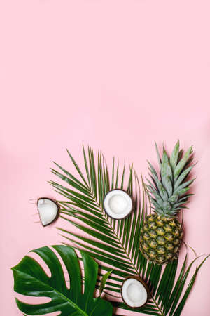 Pineapple, ripe coconuts, tropical palm and green monstera leaves on pink background.の写真素材