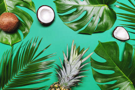 Pineapple, ripe coconuts, tropical palm and green monstera leaves on green background.の写真素材