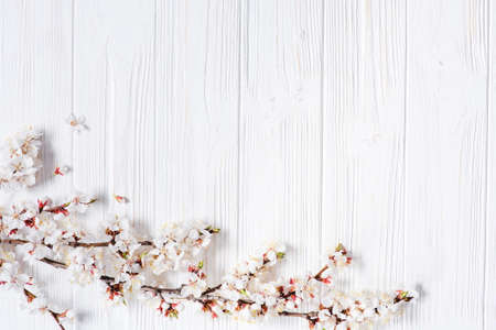 First blossom.Spring white flowers on vintage wooden background.Space for your text.の写真素材