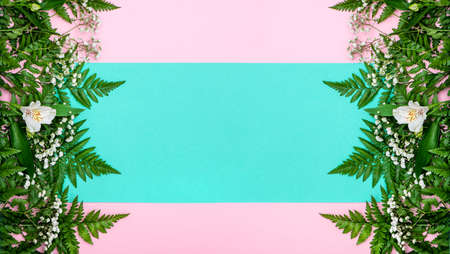 Spring banner made of green fern leaves and white flowers on pink and turquoise background. Creative flat lay with copy space.の写真素材