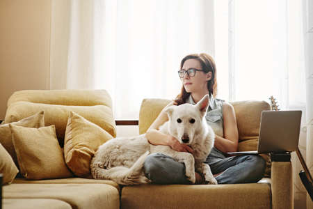 Young woman sitting on sofa with dog.の写真素材