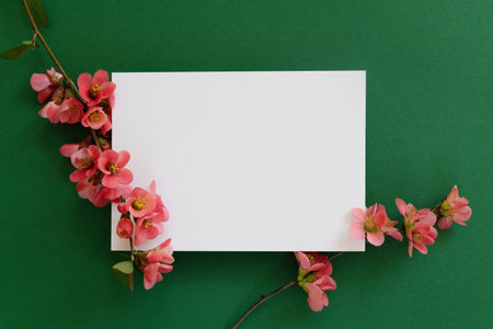 Mockup with blank white card and blooming branch of spring flowers on green background.の写真素材