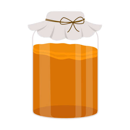 Kombucha tea in glass jar. Homemade fermented probiotic non-alcohol beverage. Vector illustration in flat style.のイラスト素材