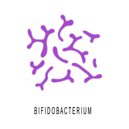 Bifidobacterium colony. Probiotics, beneficial bacterias for human health and beauty. Good microorganisms under microscop isolated on white background. Vector cartoon illustration.のイラスト素材