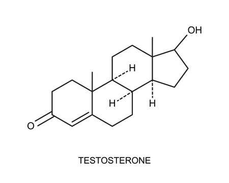 Testosterone icon. Chemical molecular structure. Steroid sex hormone sign isolated on white background. Vector graphic illustration.のイラスト素材