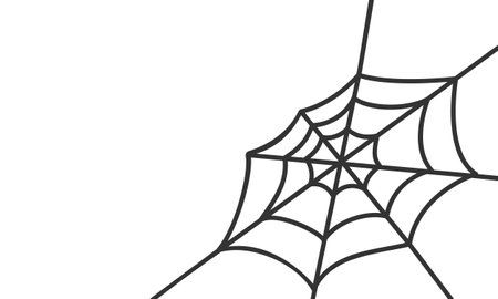 Cobweb in corner isolated on white background. Hand drawn spider web texture. Halloween party design. Vector illustration in doodle style.のイラスト素材
