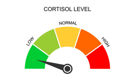 Cortisol meter gauge. Body stress response levels. Round chart with arrow from low to high isolated on white background. Vector flat illustration.のイラスト素材