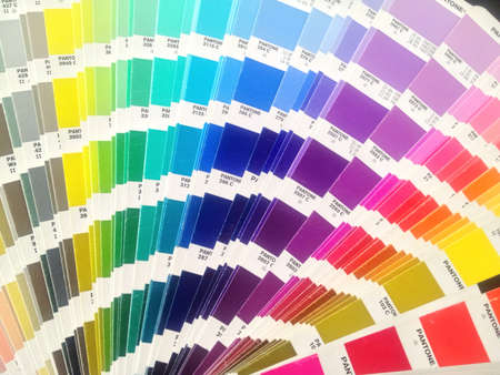 Pantone Color Bridgeの素材