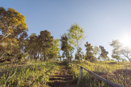 Light from the sun shines. In the morning of winter At the top of the mountain The atmosphere is refreshing and has beautiful views.の写真素材