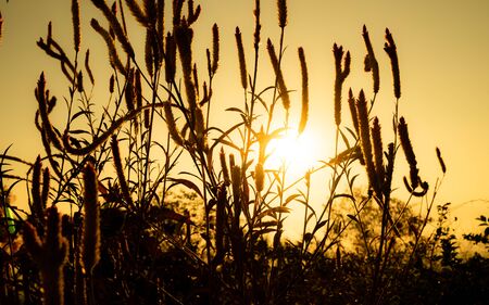 The sun's image is going up into the sky and is shining in orange, causing the things to change into shadows.の写真素材