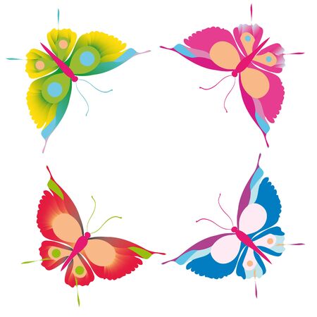 butterfly, butterflies, vectorのイラスト素材
