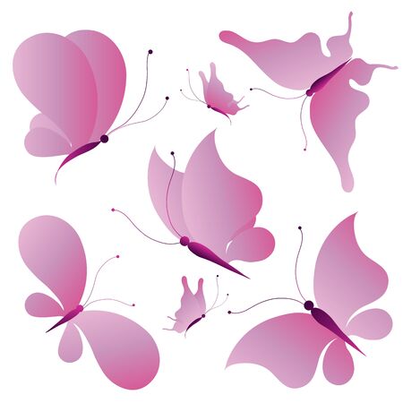 butterfly, butterflies, vectorのイラスト素材
