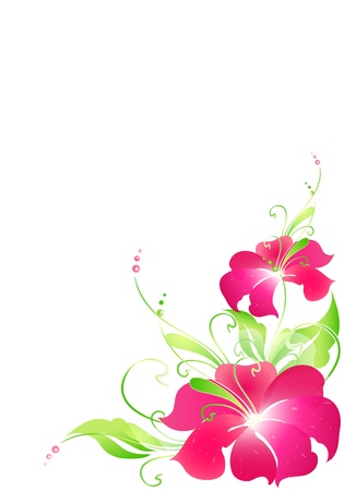flowers card vectorのイラスト素材
