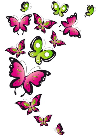 butterfly, butterflies, vectorのイラスト素材