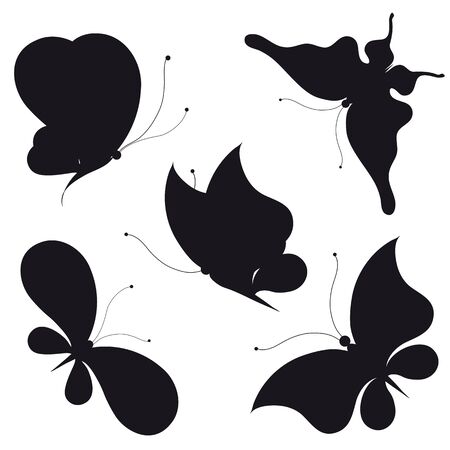 butterfly, butterflies, vectorのイラスト素材