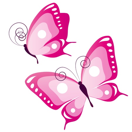 butterflyのイラスト素材