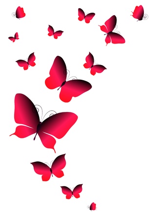 butterfliesのイラスト素材