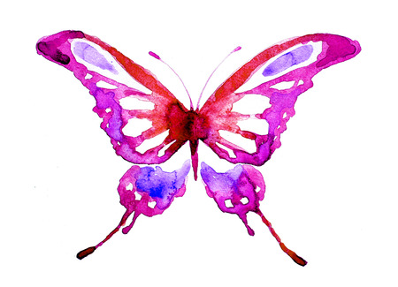 butterfly, watercolorの写真素材
