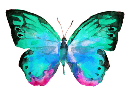butterfly, watercolorの写真素材