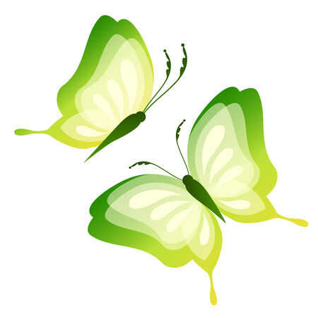 butterflies designのイラスト素材