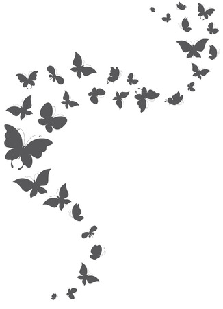butterflies designのイラスト素材