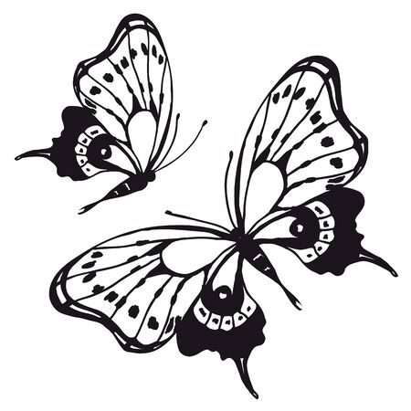 butterflies designのイラスト素材