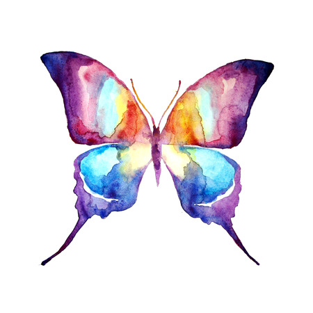 butterfly,watercolor designの写真素材
