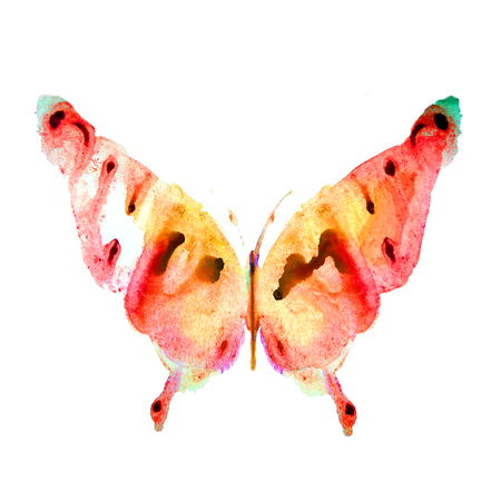 butterfly,watercolor designの写真素材