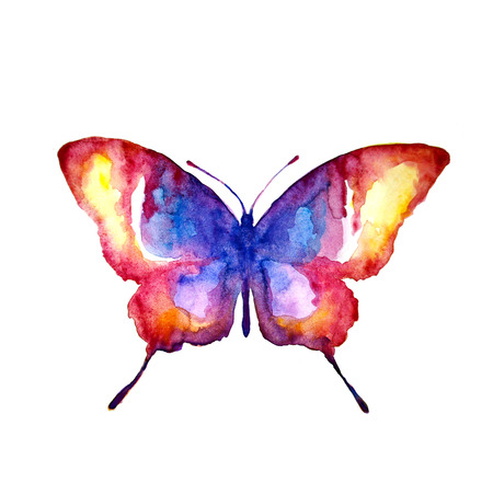 butterfly,watercolor designの写真素材