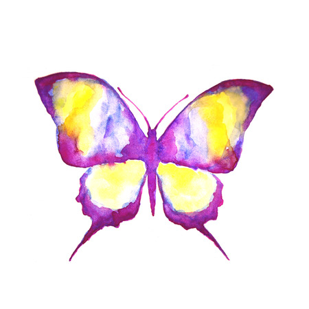 butterfly,watercolor designの写真素材