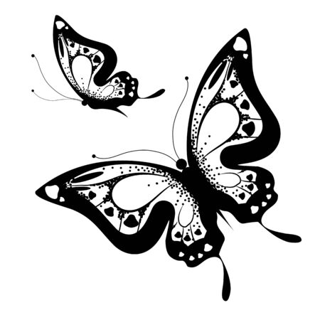 butterflies designのイラスト素材