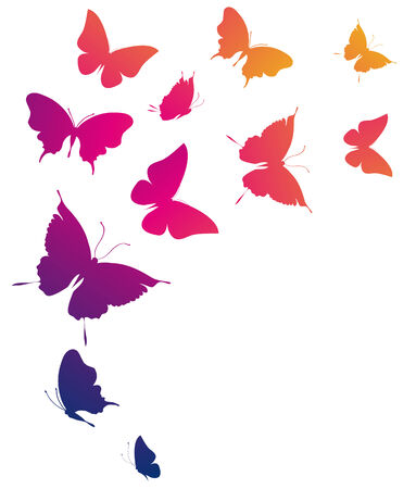 butterflies designのイラスト素材