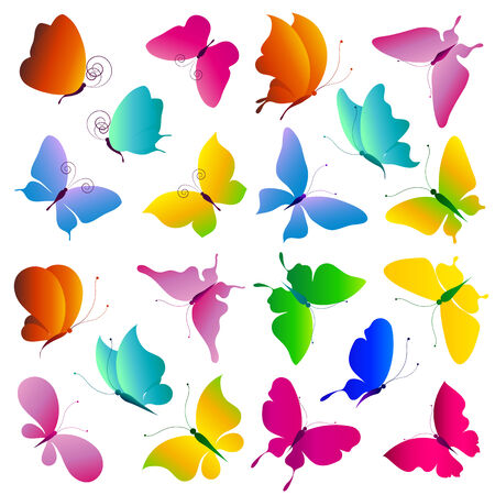 butterflies designのイラスト素材