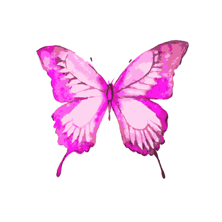 butterflies designのイラスト素材