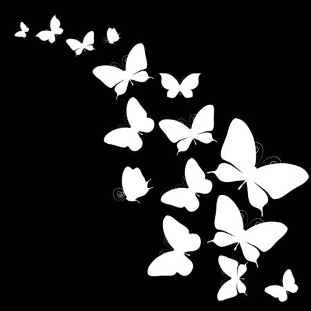 butterflies designのイラスト素材