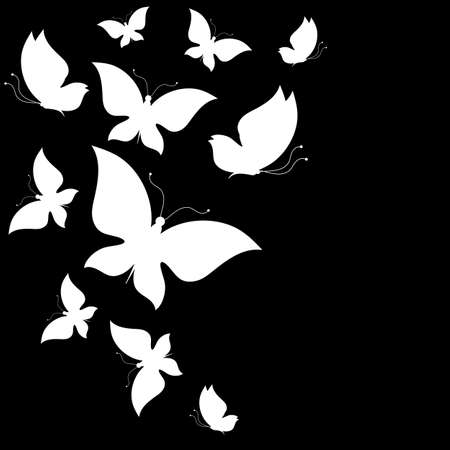 butterflies designのイラスト素材