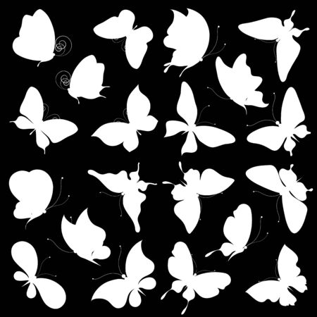 butterflies designのイラスト素材