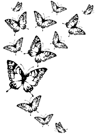 butterflies designのイラスト素材