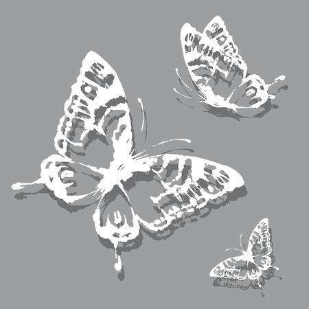 butterflies designのイラスト素材