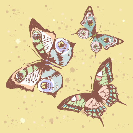 butterflies designのイラスト素材