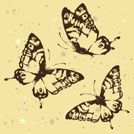 butterflies designのイラスト素材
