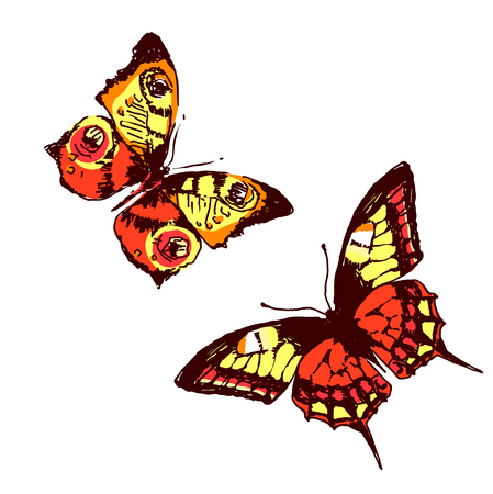 butterflies designのイラスト素材