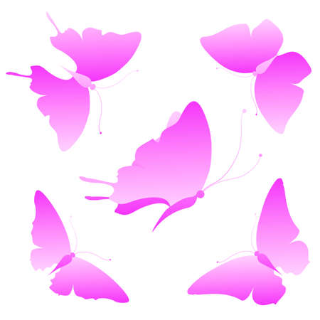 butterflies designのイラスト素材