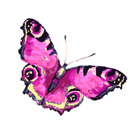 butterflies designのイラスト素材